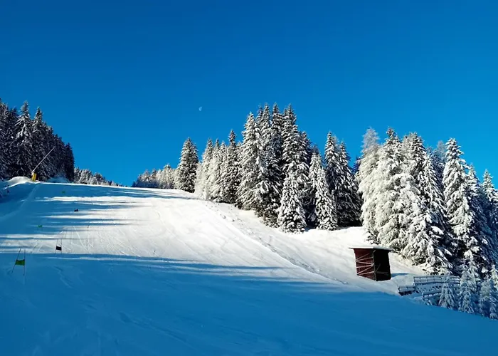 Valfurva 15
